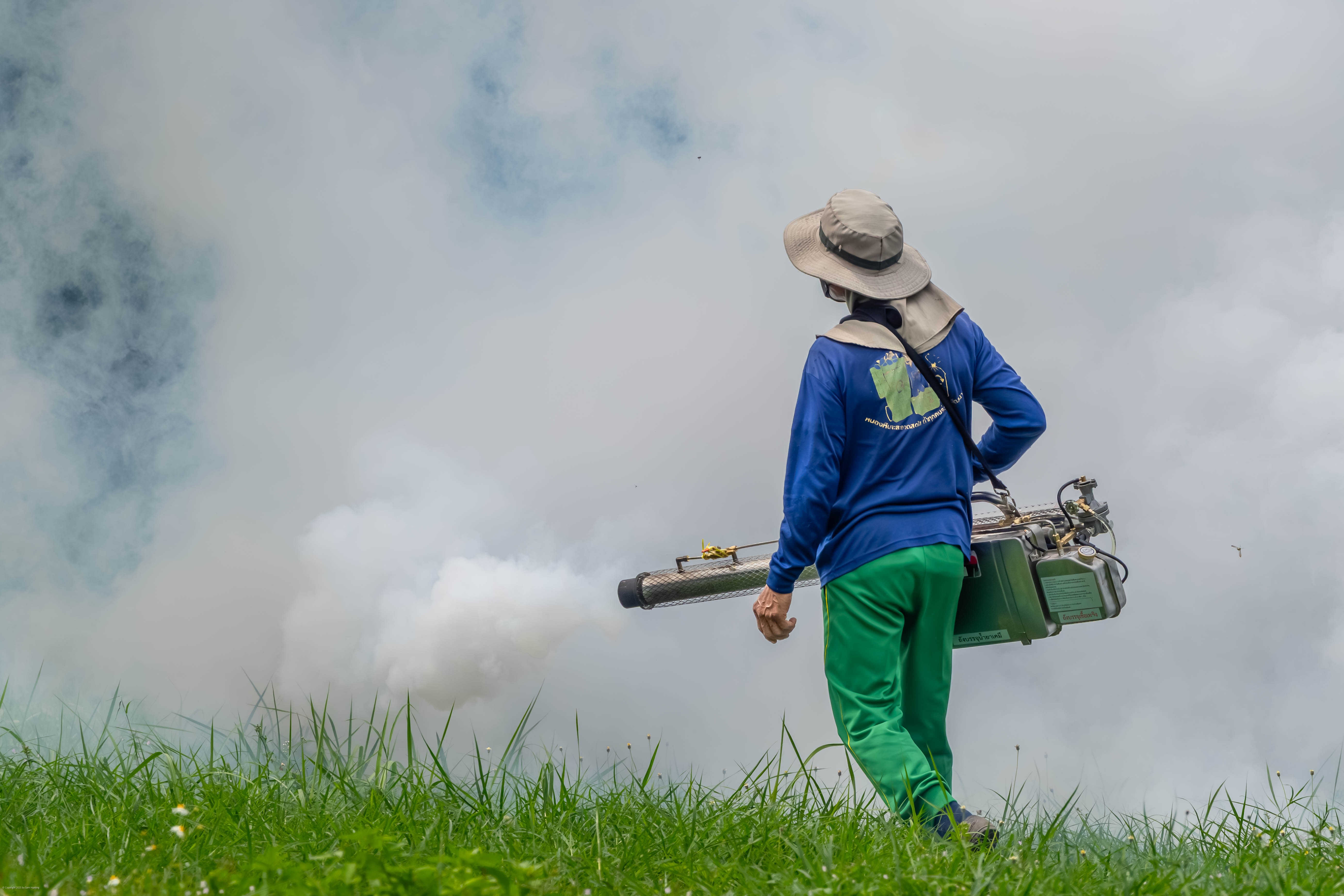 A gardener fogging a yard against insects.