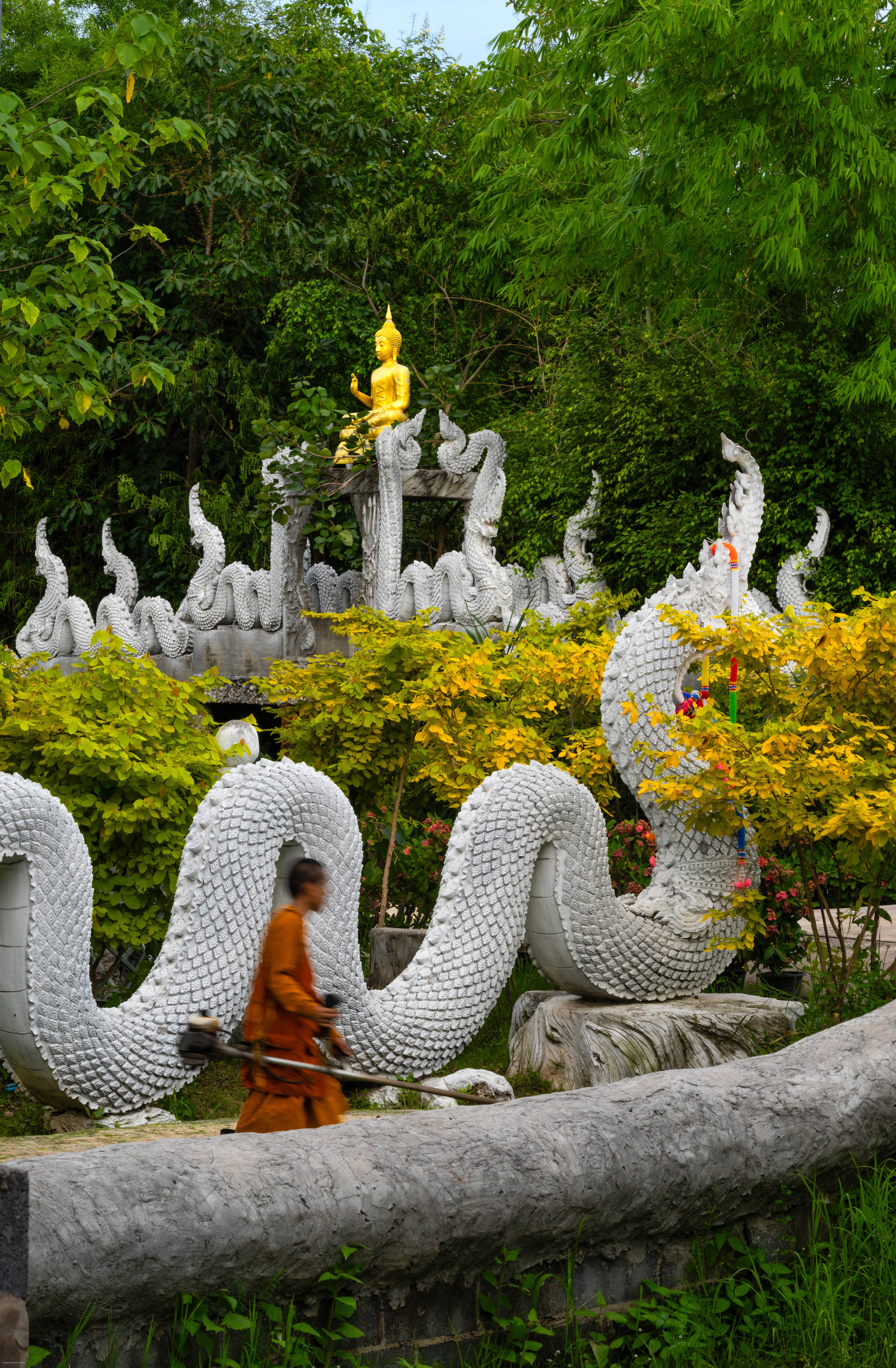 A young monk with a weed whacker before a Phaya Nak.